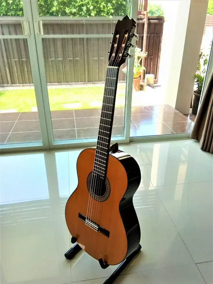 گیتار یاماها c40 نو|گیتار، بیس، امپلیفایر|تهران, شهرک نفت|دیوار