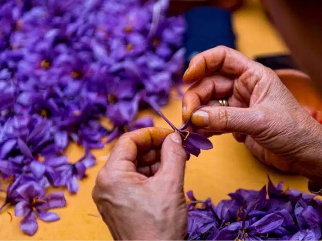 در منزل خودم انجام میدم|خدمات پیشه و مهارت|بیرجند, |دیوار