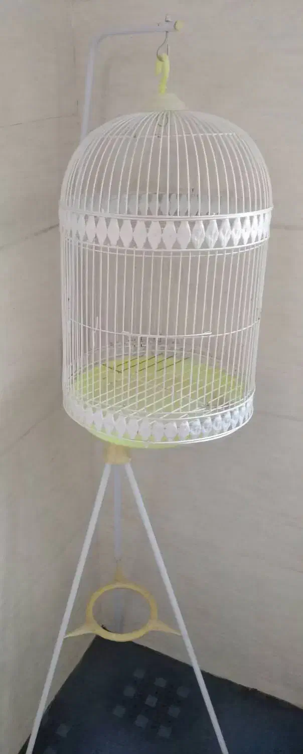 کالسکه قفس|کالسکه و لوازم جانبی|شیراز, زیباشهر|دیوار