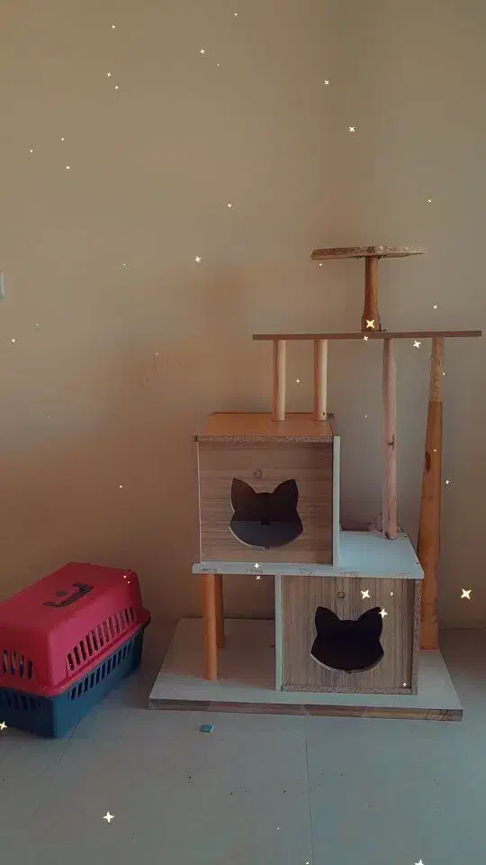 لونه گربه|لوازم جانبی حیوانات|پرند, فاز ۶|دیوار