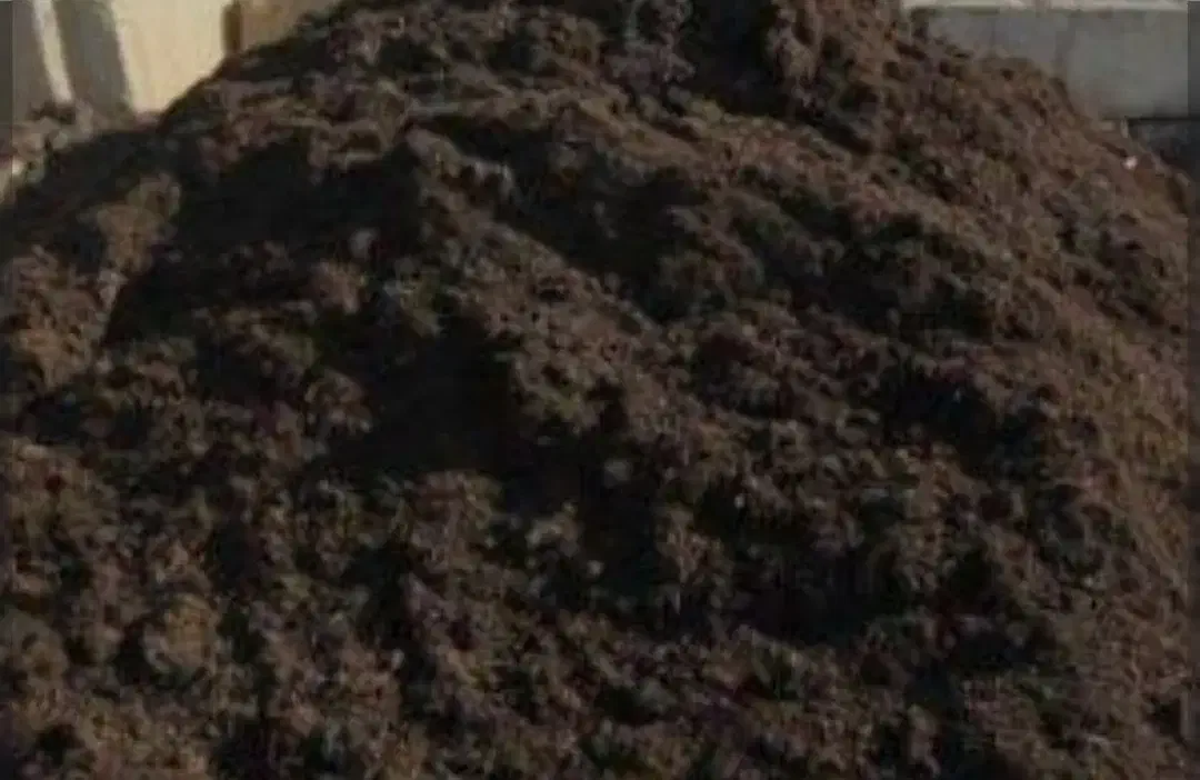 کود گاوی|لوازم جانبی حیوانات|روداب, |دیوار