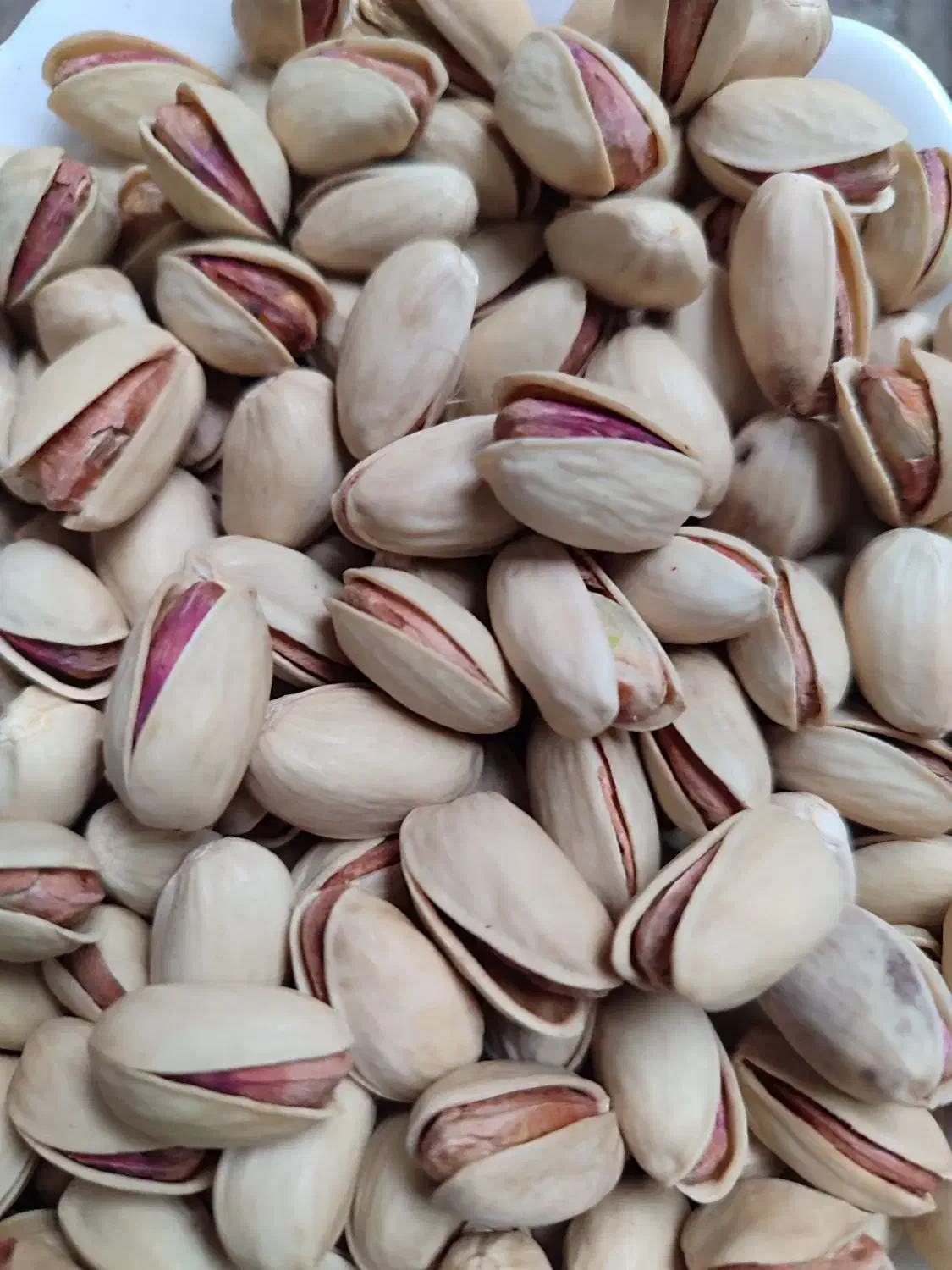 پسته احمد آقای تازه و تمام خندان|خوردنی و آشامیدنی|نیریز, |دیوار