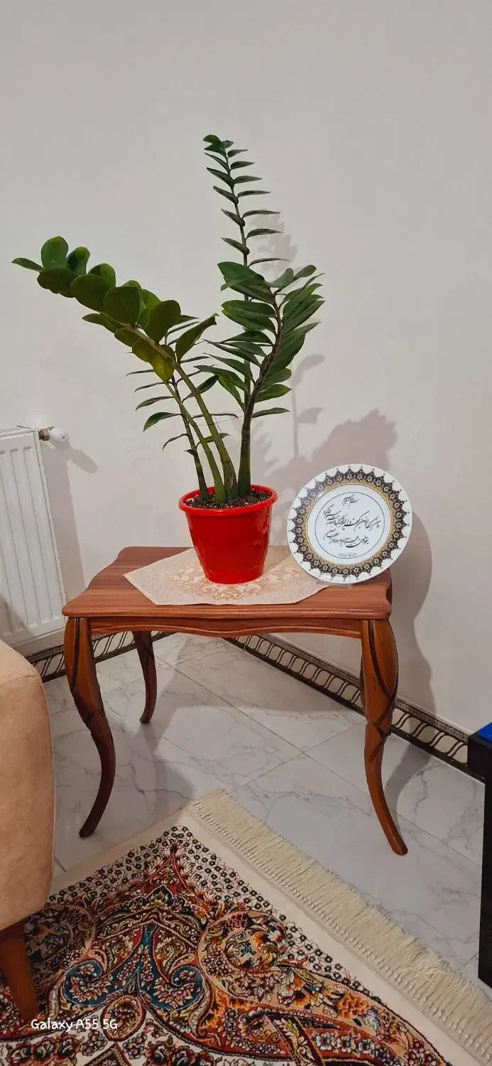 جلو مبلی و عسلی در حد نو|مبلمان خانگی و میز عسلی|رشت, کوی بیانی|دیوار