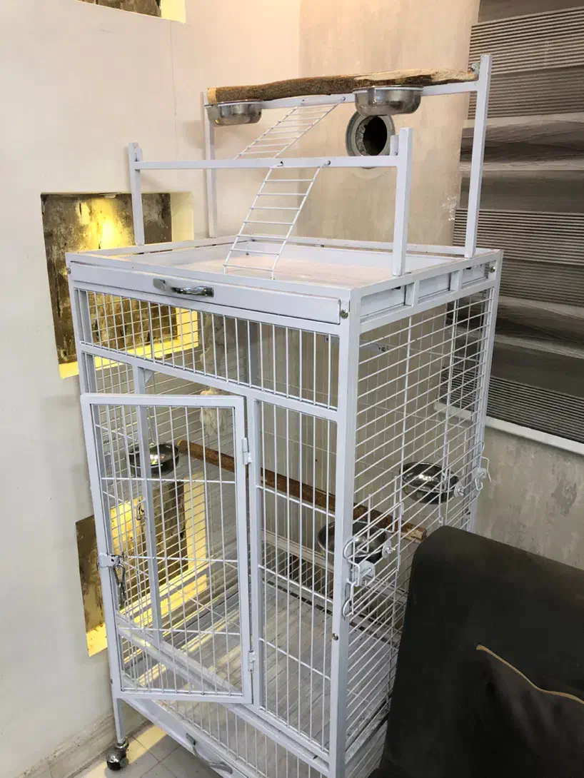 قفس مخصوص ( ارا - کاسکو- کاکادو)|لوازم جانبی حیوانات|تهران, کیانشهر|دیوار