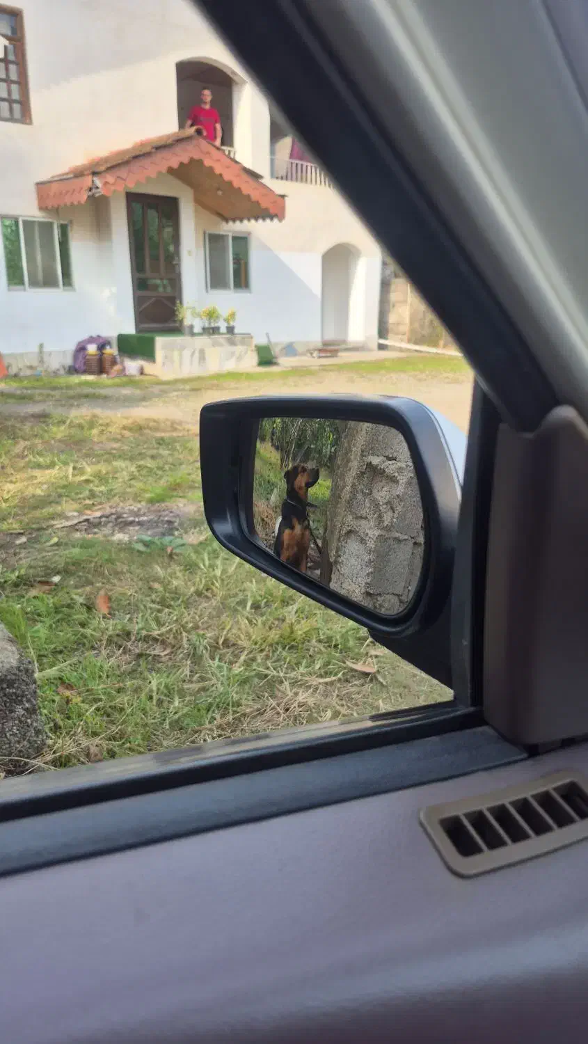 واگذاری|سگ|کتالم و سادات شهر, |دیوار