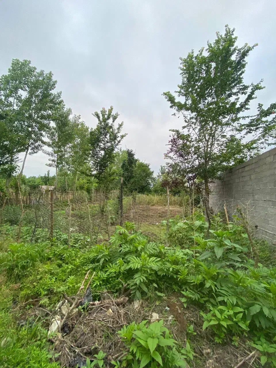 فروش زمین مسکونی|فروش زمین و ملک کلنگی|رشت, گلسار|دیوار