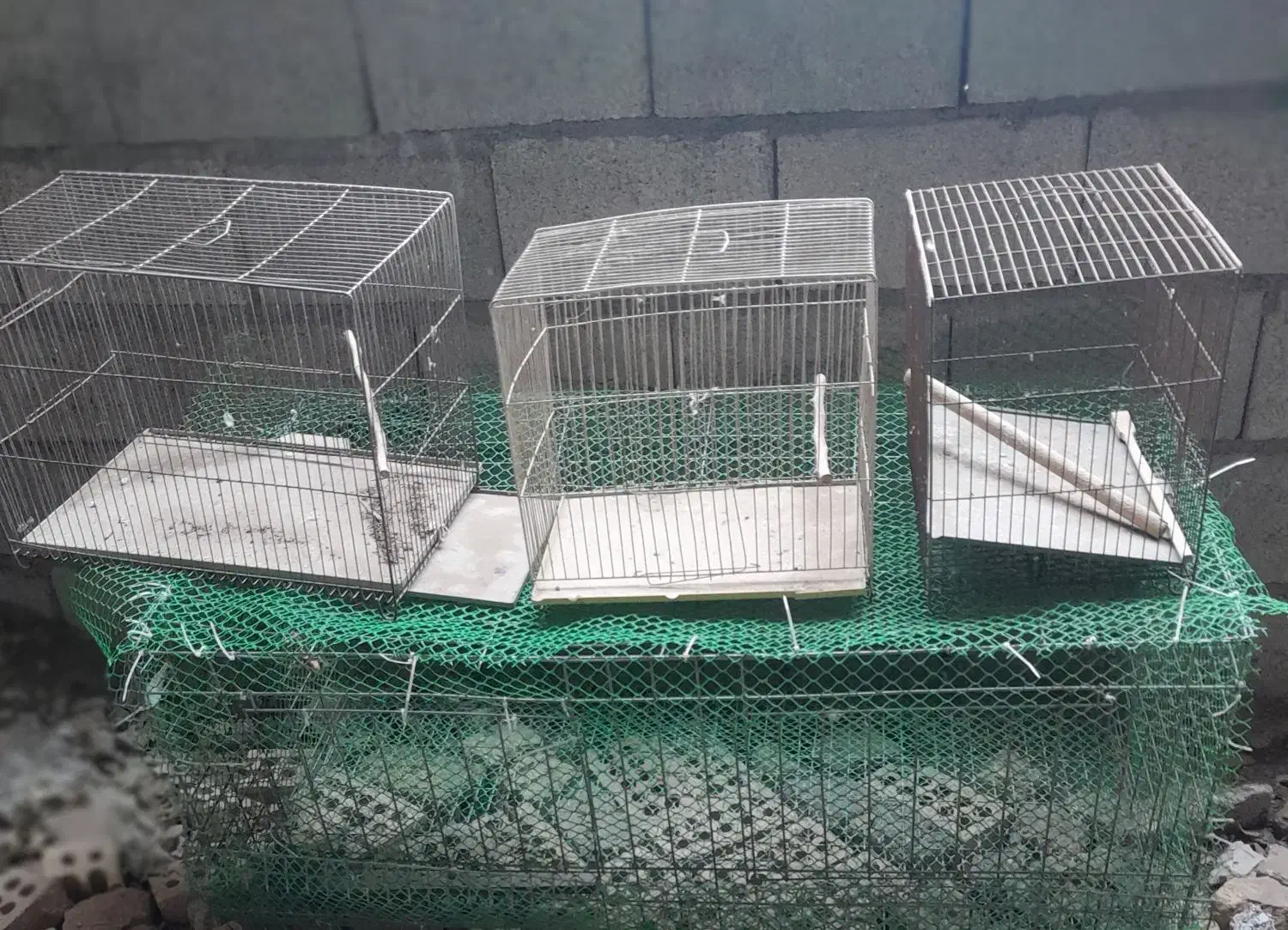 قفس پرنده 100و200|لوازم جانبی حیوانات|ماکو, |دیوار