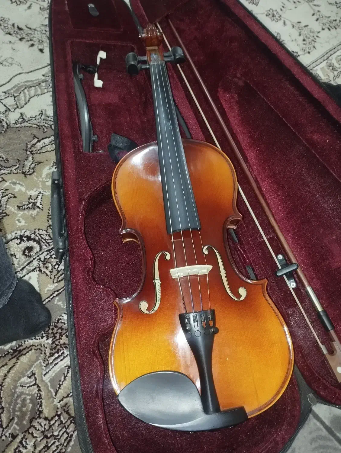 ویالن هافنر مدل 200|ویولن|قم, باغ شریفی|دیوار