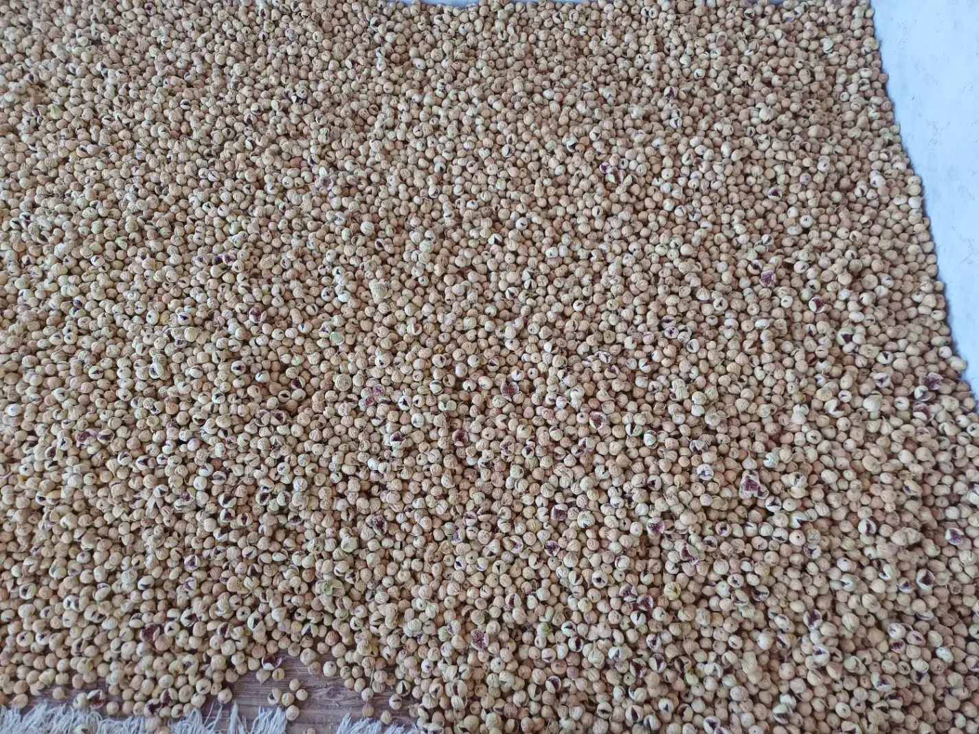 فروش انواع انجیر|خوردنی و آشامیدنی|استهبان, |دیوار