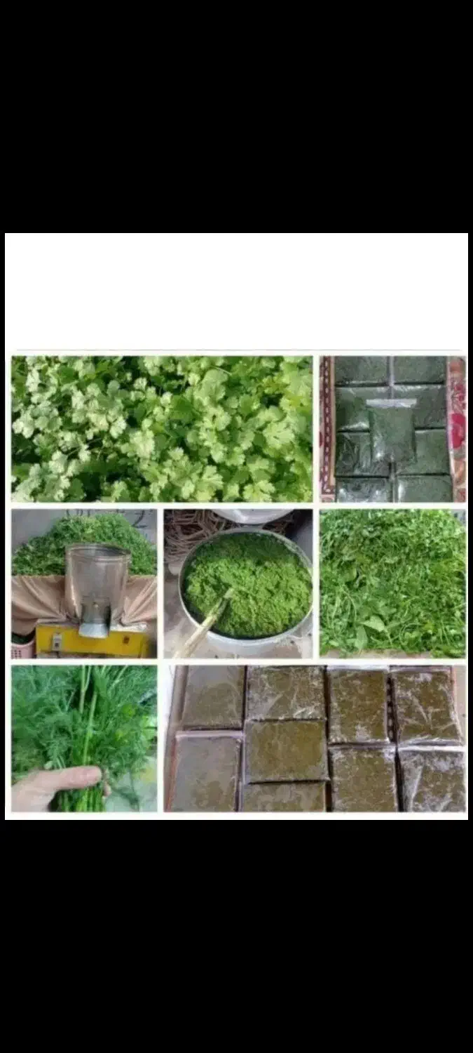 سبزی خورشتی آماده|خوردنی و آشامیدنی|دهدشت, |دیوار