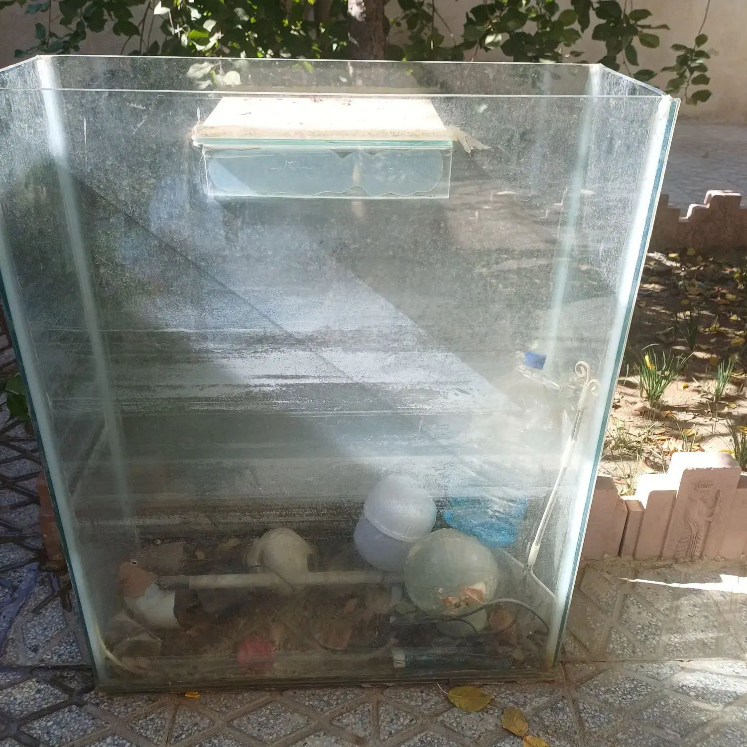 آکواریوم|ماهی|تویسرکان, |دیوار