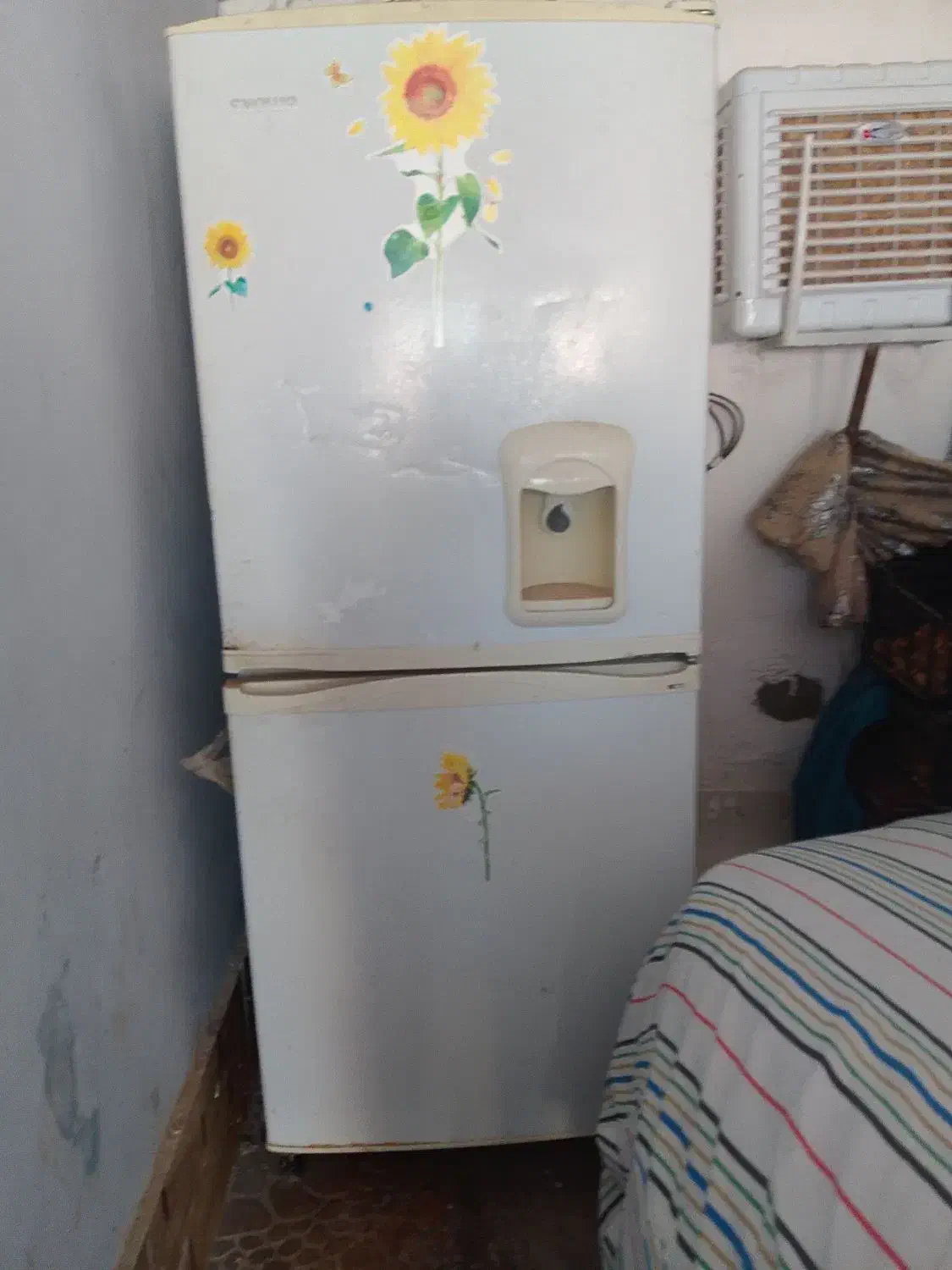 یخچال فریزر اسنوا|یخچال و فریزر|گالیکش, |دیوار