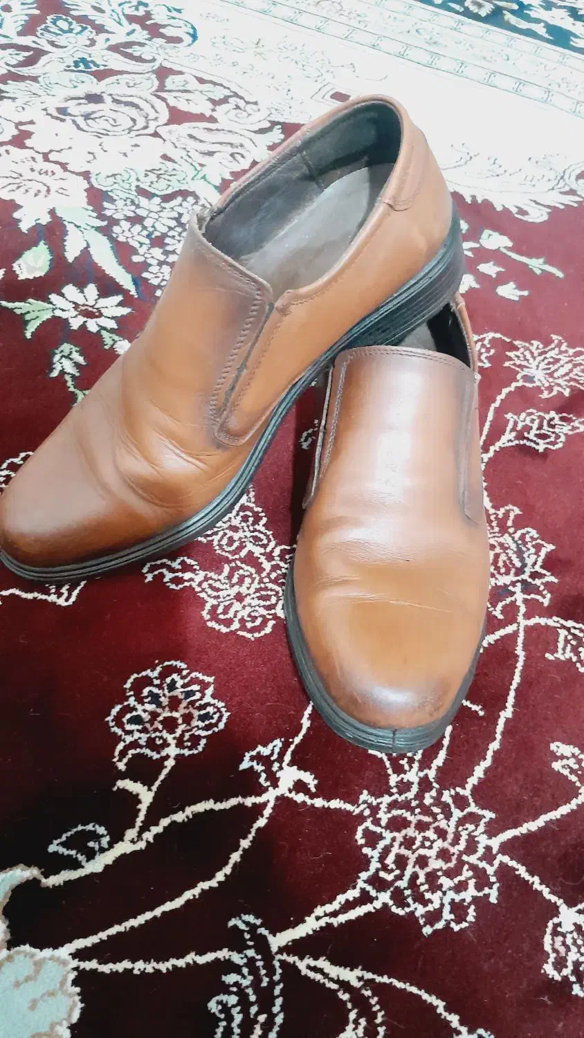 کفش چرم|کیف، کفش، کمربند|دورود, |دیوار