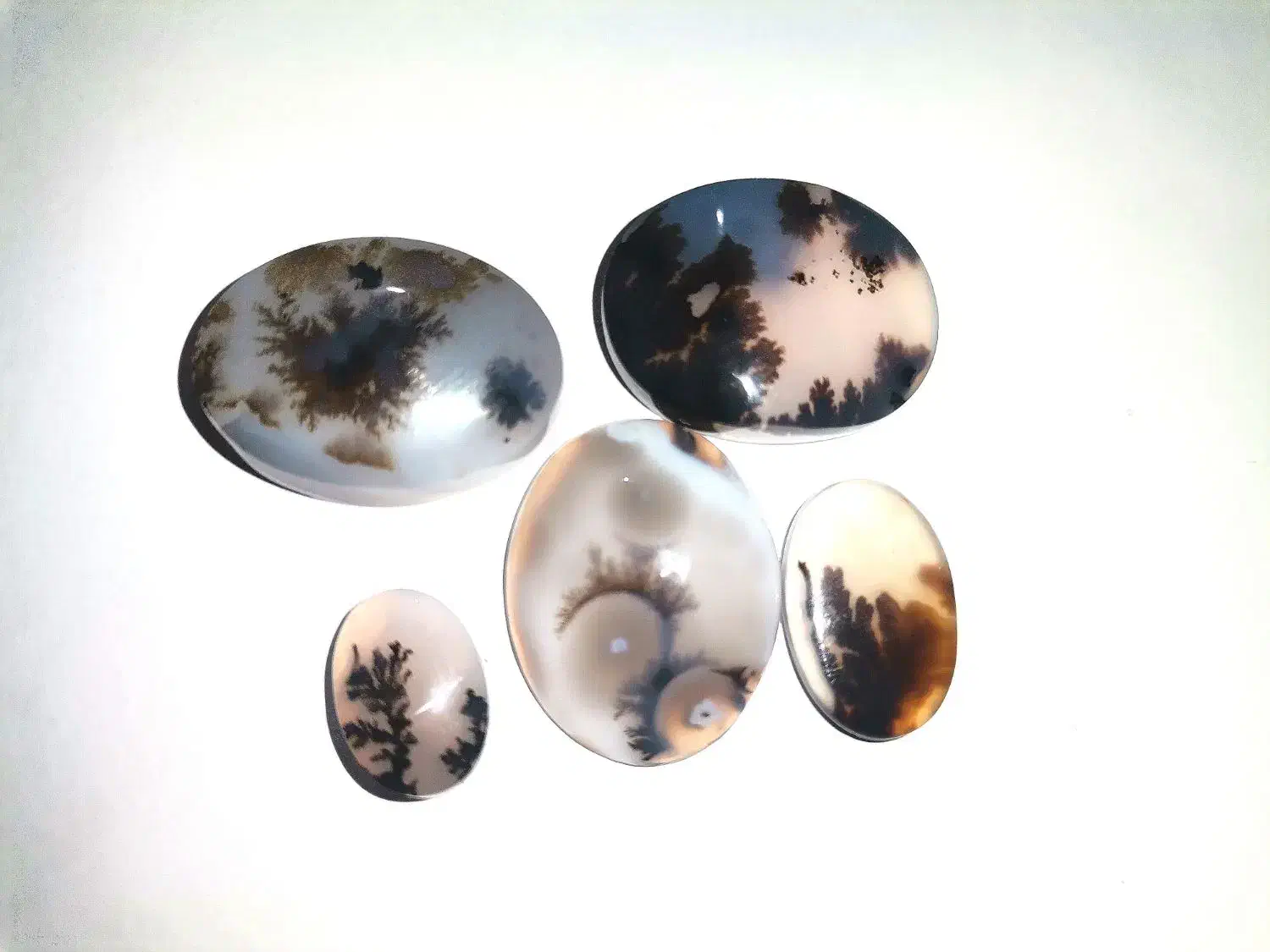 سنگ شجر|زیورآلات و اکسسوری|تهران, هفت حوض|دیوار