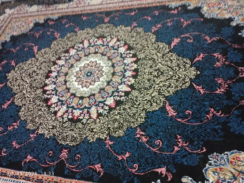 فرش ۱۲متری در حد نو|فرش|رویدر, |دیوار