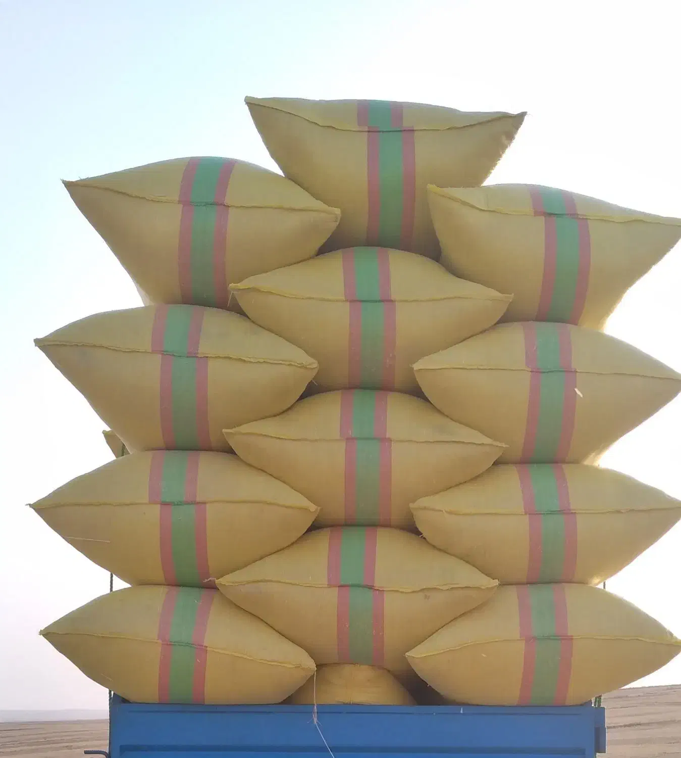 سامان آلیرام  کاه ازمراغه هشترودوقره آغاج|لوازم جانبی حیوانات|نظر کهریزی, |دیوار