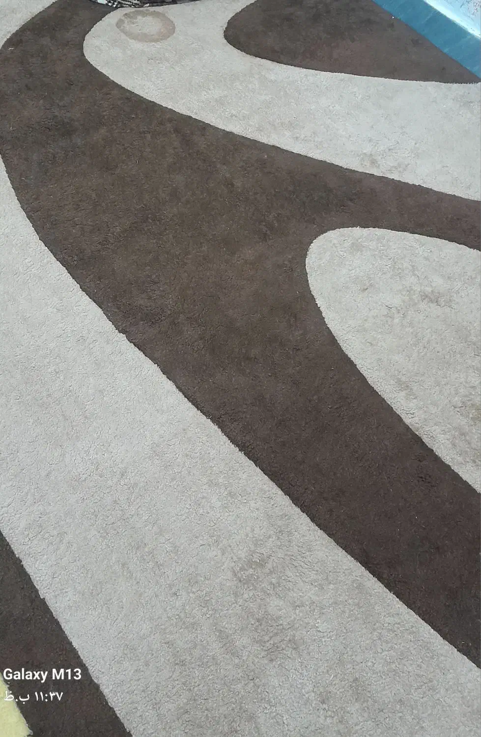 . ..|فرش|رشت, شهرک صبا|دیوار