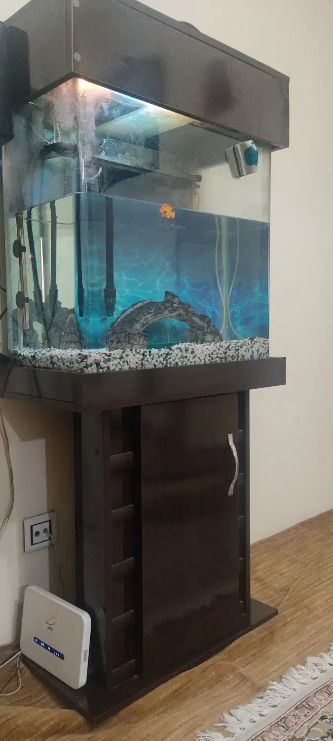 آکواریم ۶۰شیشه خم|ماهی|تهران, شهید فکوری|دیوار