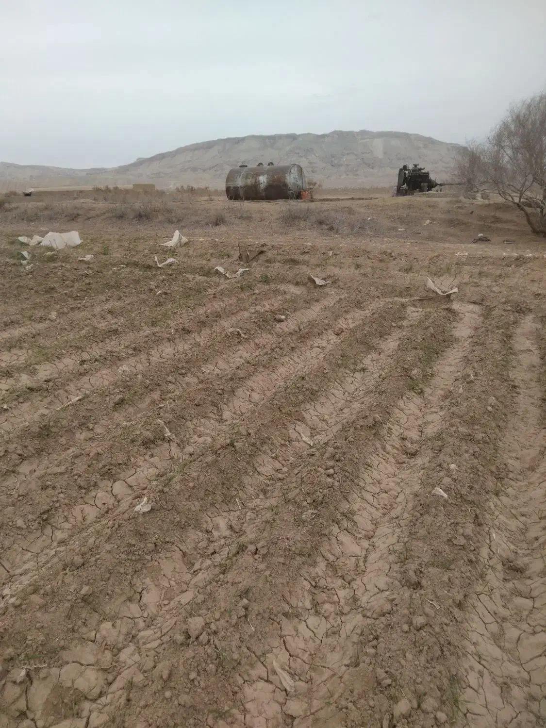 اجاره ۷۲ آب ۸۰هکتار زمین کشاورزی|اجارهٔ دفتر صنعتی، کشاورزی، تجاری|جوادآباد, |دیوار