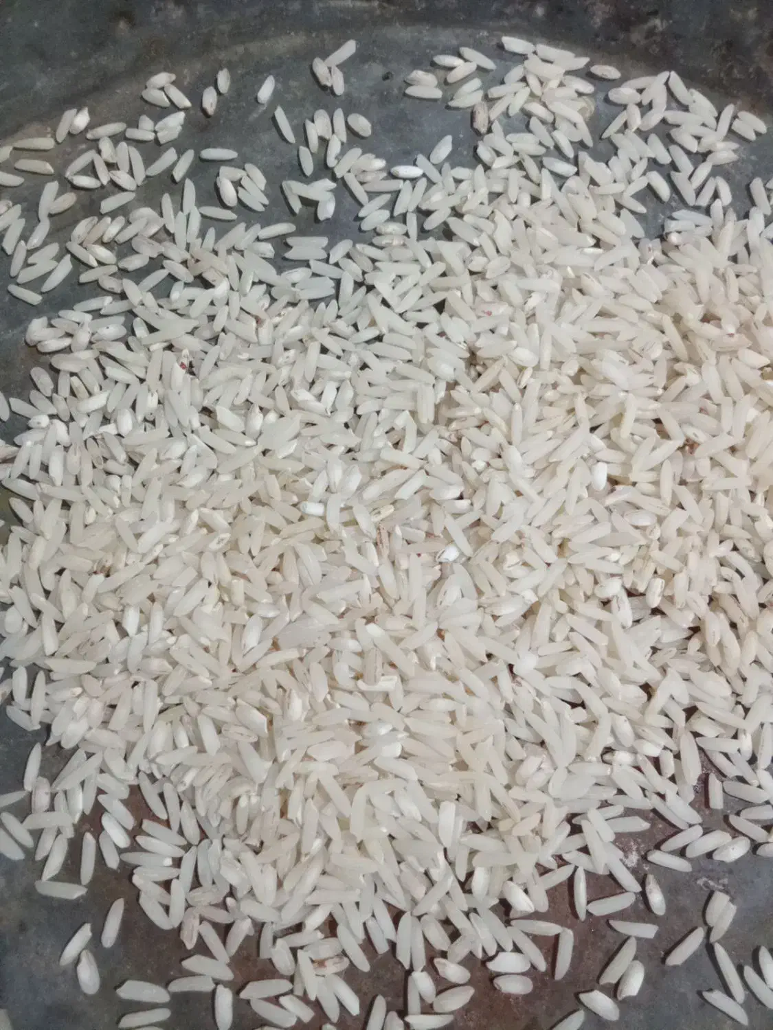 برنج محلی|خوردنی و آشامیدنی|چگنی, |دیوار