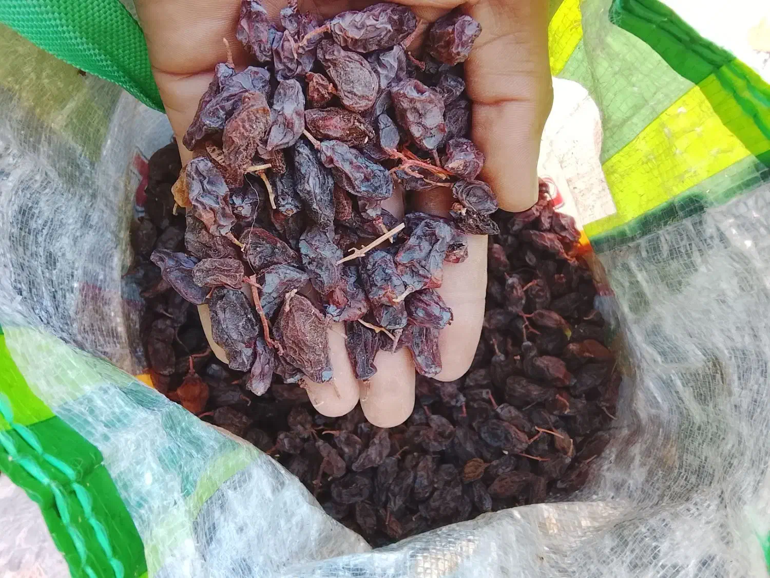 کشمش|خوردنی و آشامیدنی|کوار, |دیوار