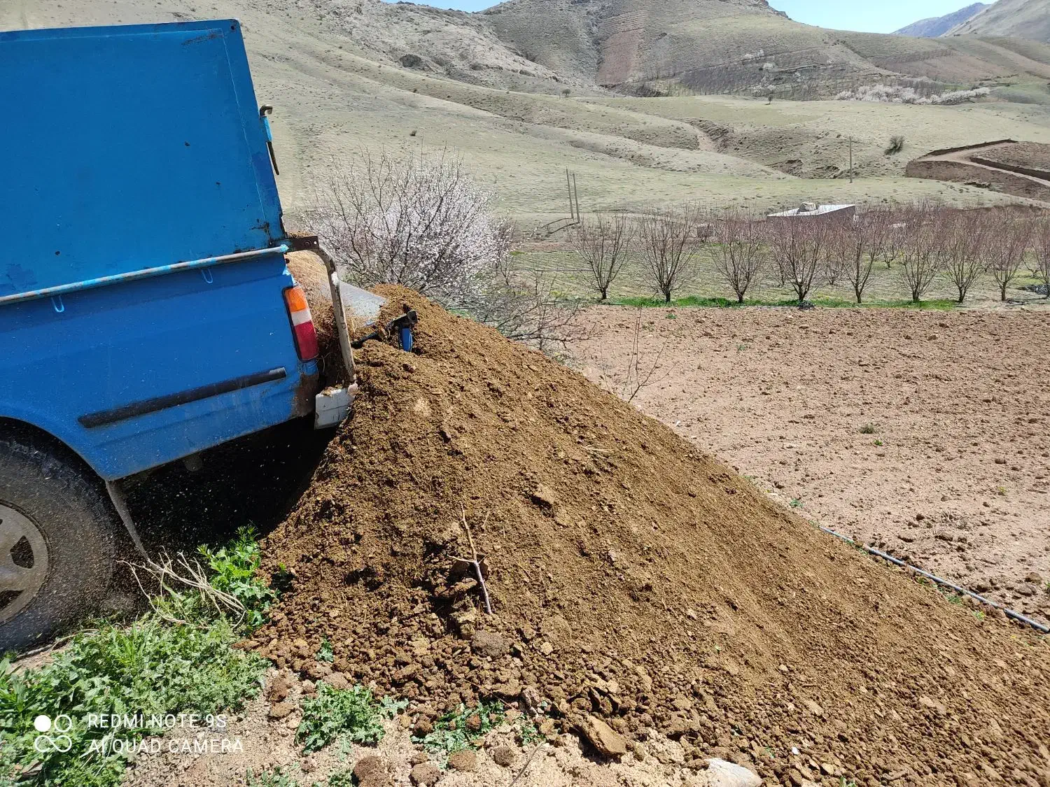 کود حیوانی|خدمات باغبانی و درختکاری|موچش, |دیوار