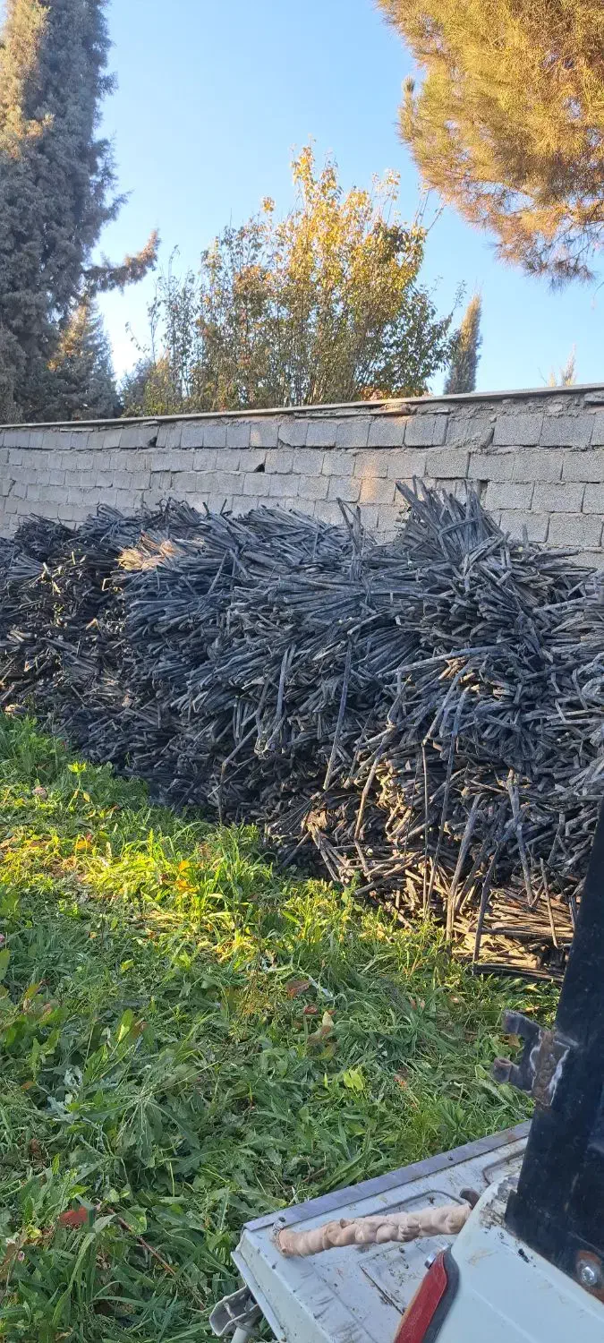 ۵ هکتار طیب|حراج|چهارباغ, |دیوار