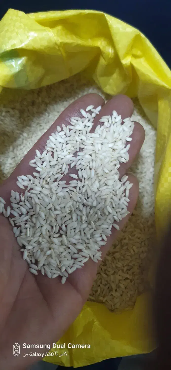 برنج عنبر بو|خوردنی و آشامیدنی|دزفول, |دیوار