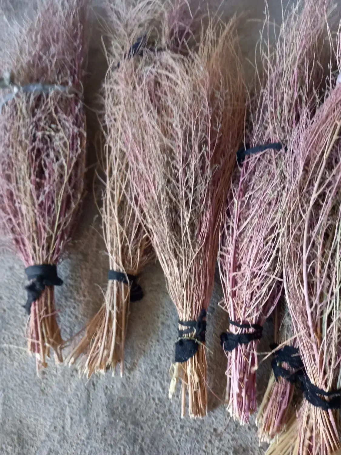 ۱۲ دسته جارو دسته ۵۰تومن روستایی کتوله ساری|لوازم نظافت|کوهدشت, |دیوار