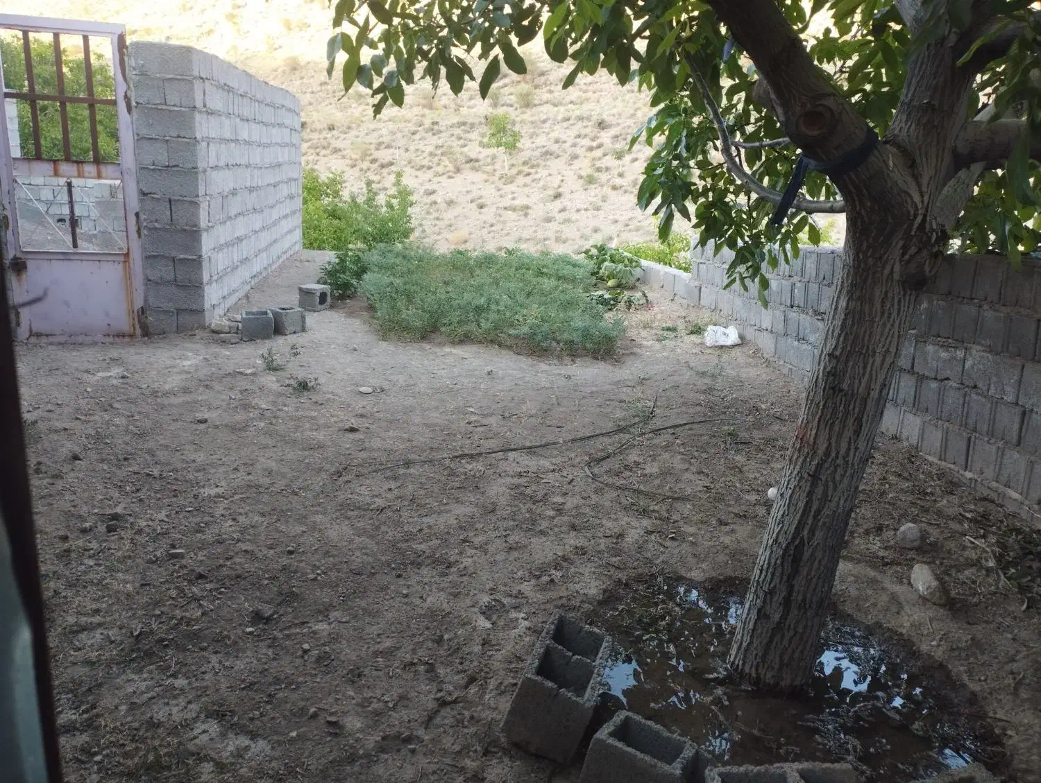 فروش زمین در شهرستان بردسیر روستای بید خوان|فروش زمین و ملک کلنگی|بردسیر, |دیوار