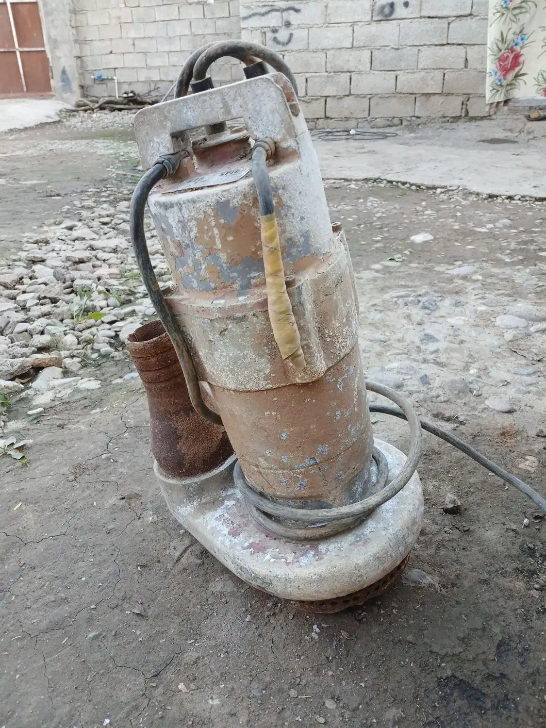 کپکش ۳|مصالح و تجهیزات ساختمان|دلند, |دیوار