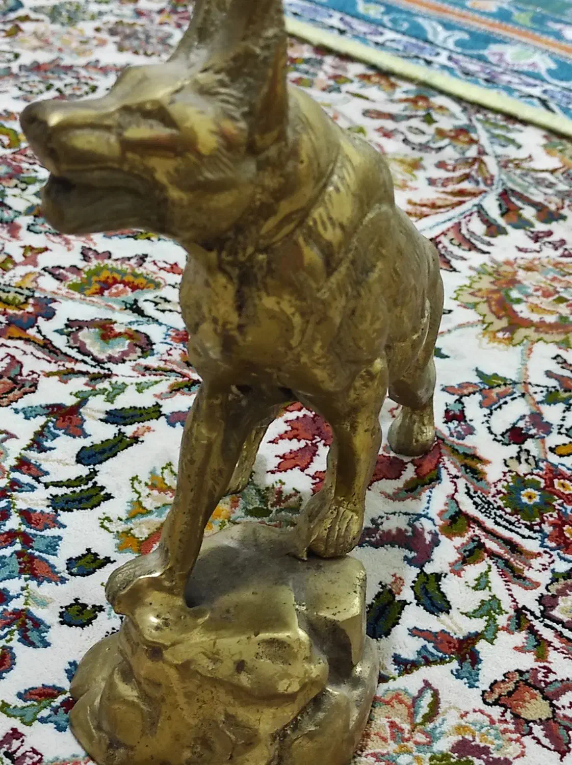 گرگ برنز|مجسمه، تندیس، ماکت|اردبیل, |دیوار