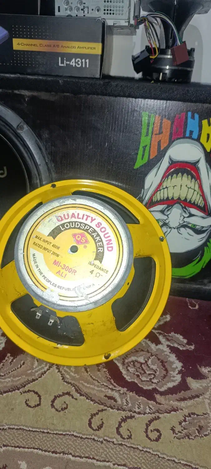 میدرنج ۱۲اینچ|سیستم صوتی خانگی|شوش, |دیوار