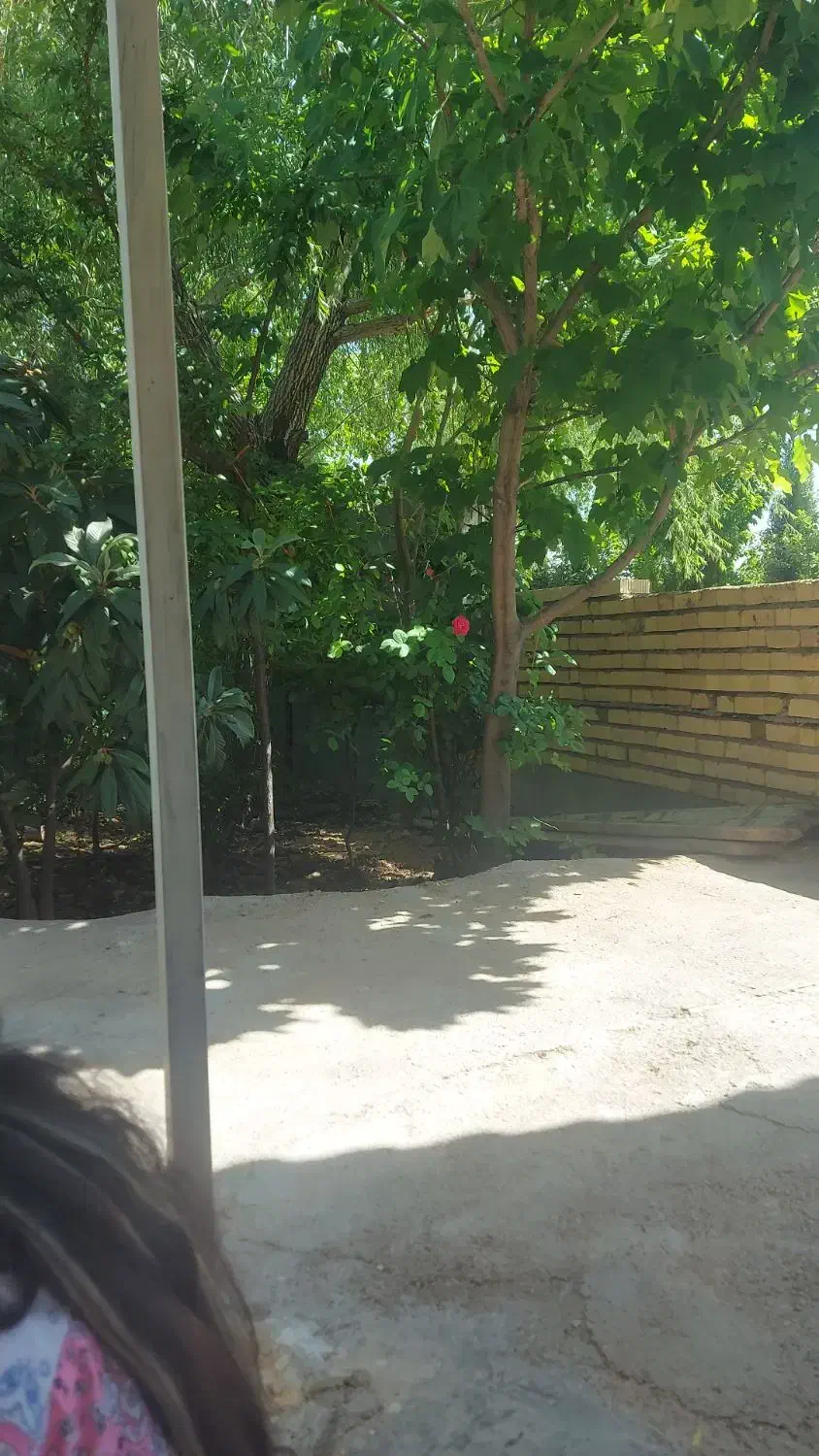 خانه باغ ۴۲۰متری|فروش خانه و ویلا|شیراز, دکتر حسابی|دیوار