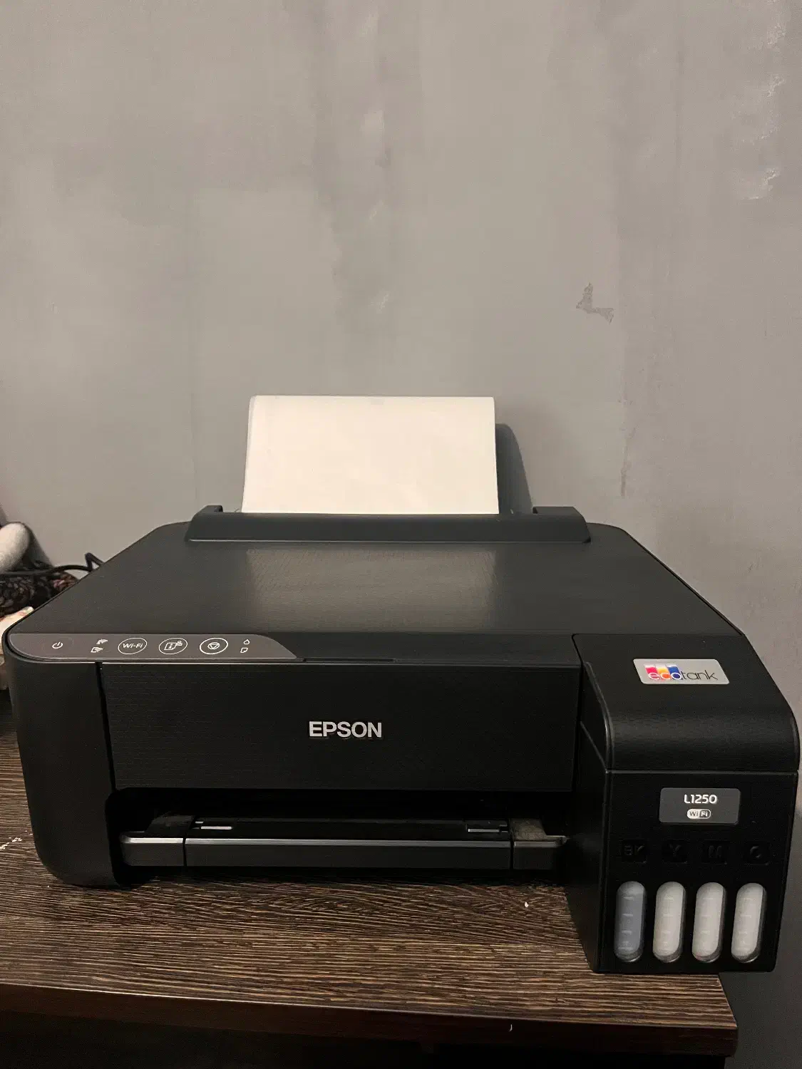 فروش لوازم تتو بدن|آرایشگاه و سالنهای زیبایی|کرج, حصار|دیوار