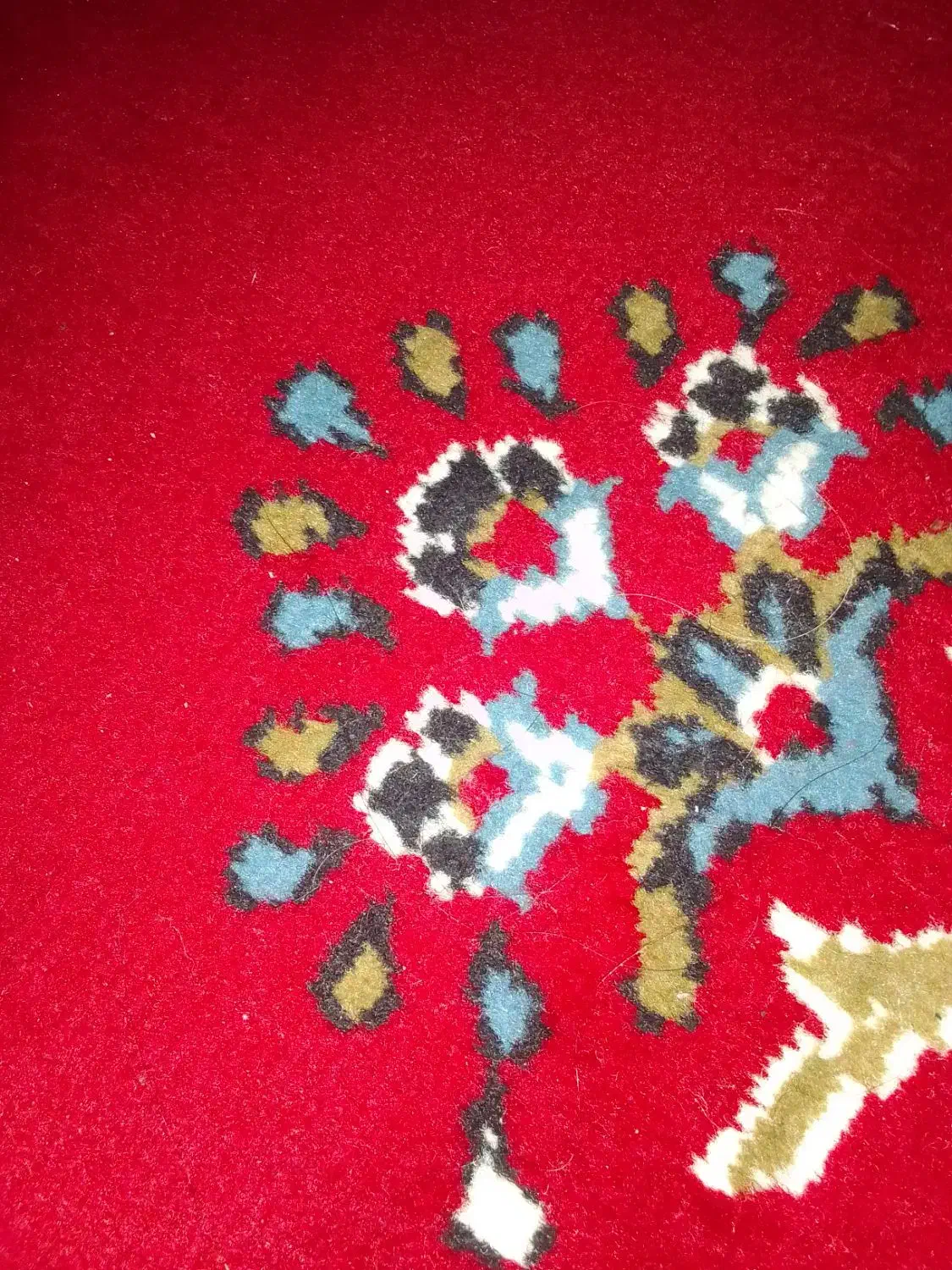 پنبه|رختخواب، بالش، پتو|شوشتر, |دیوار