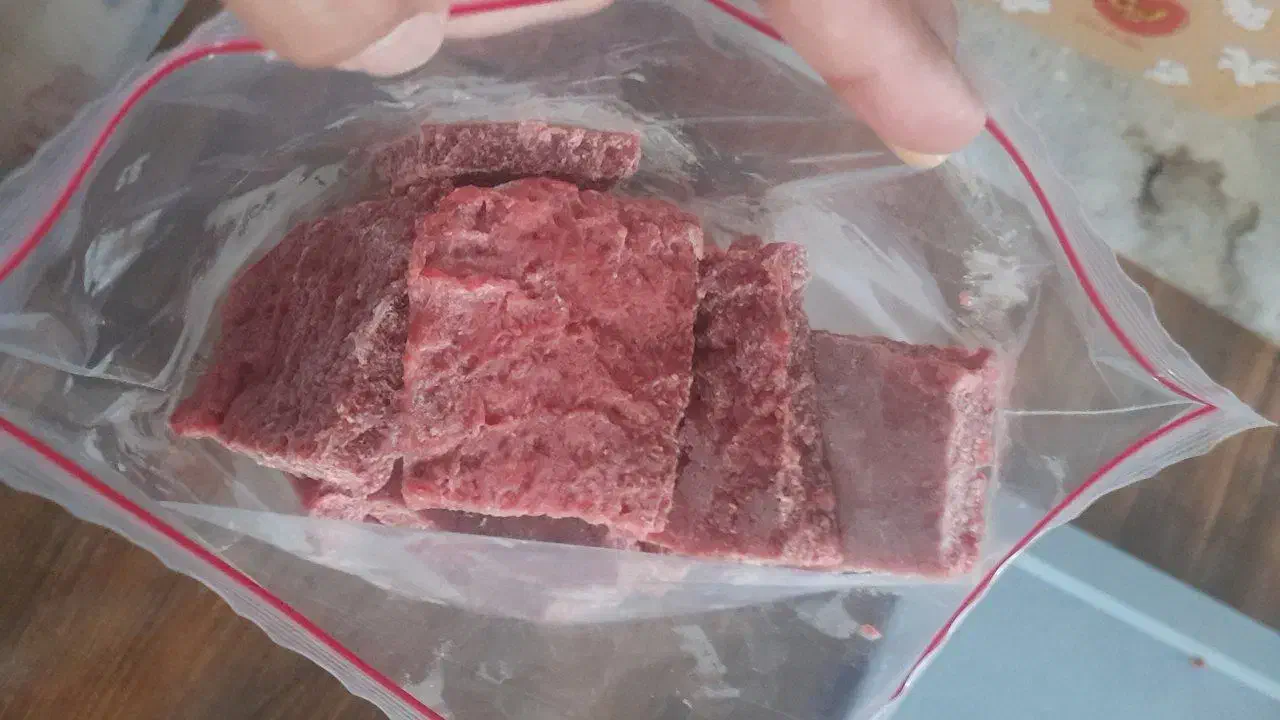 غذای گربه و سگ|لوازم جانبی حیوانات|بیرجند, |دیوار