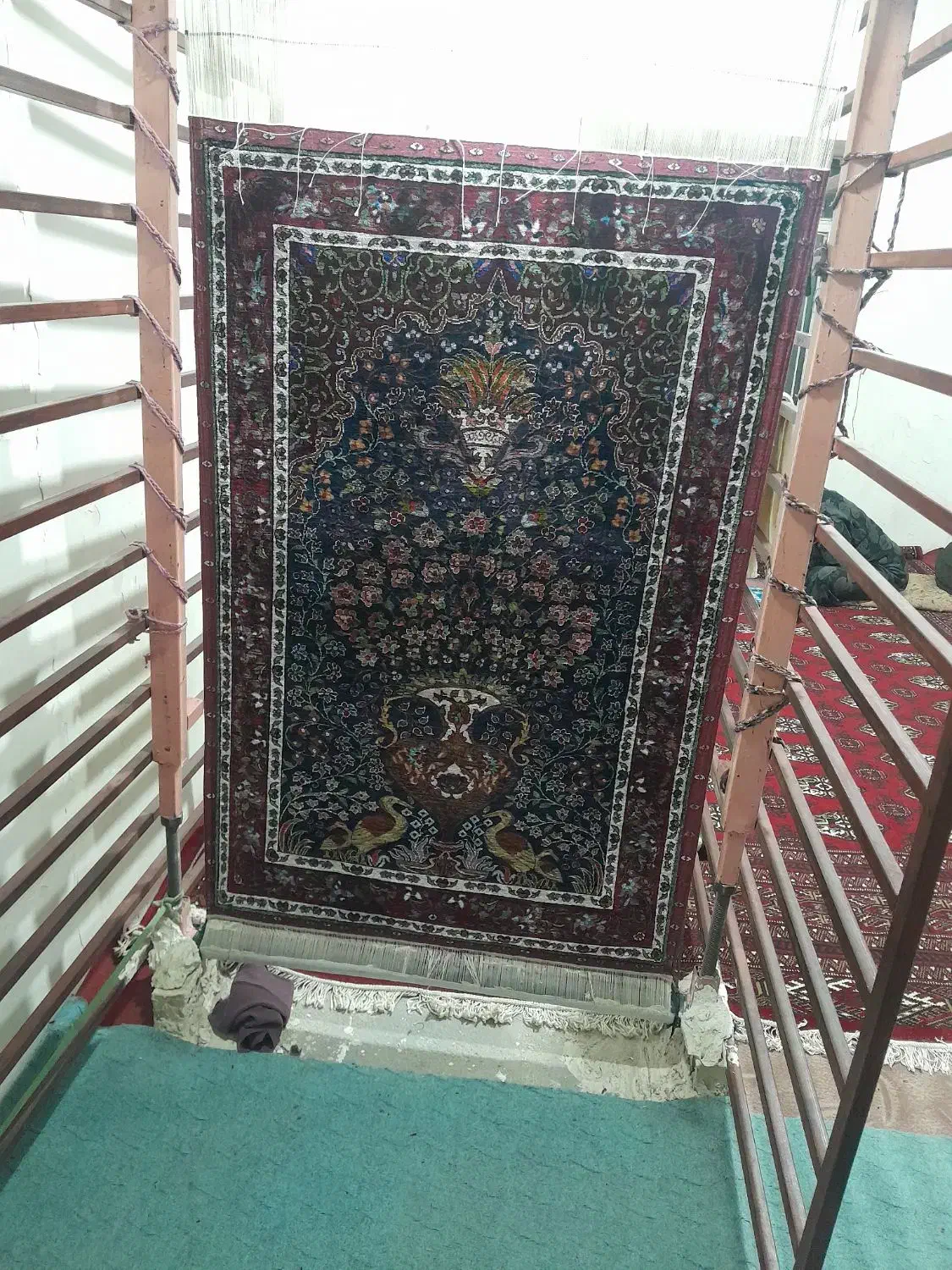 قالی ب فروش میرسد|فرش|آشخانه, |دیوار
