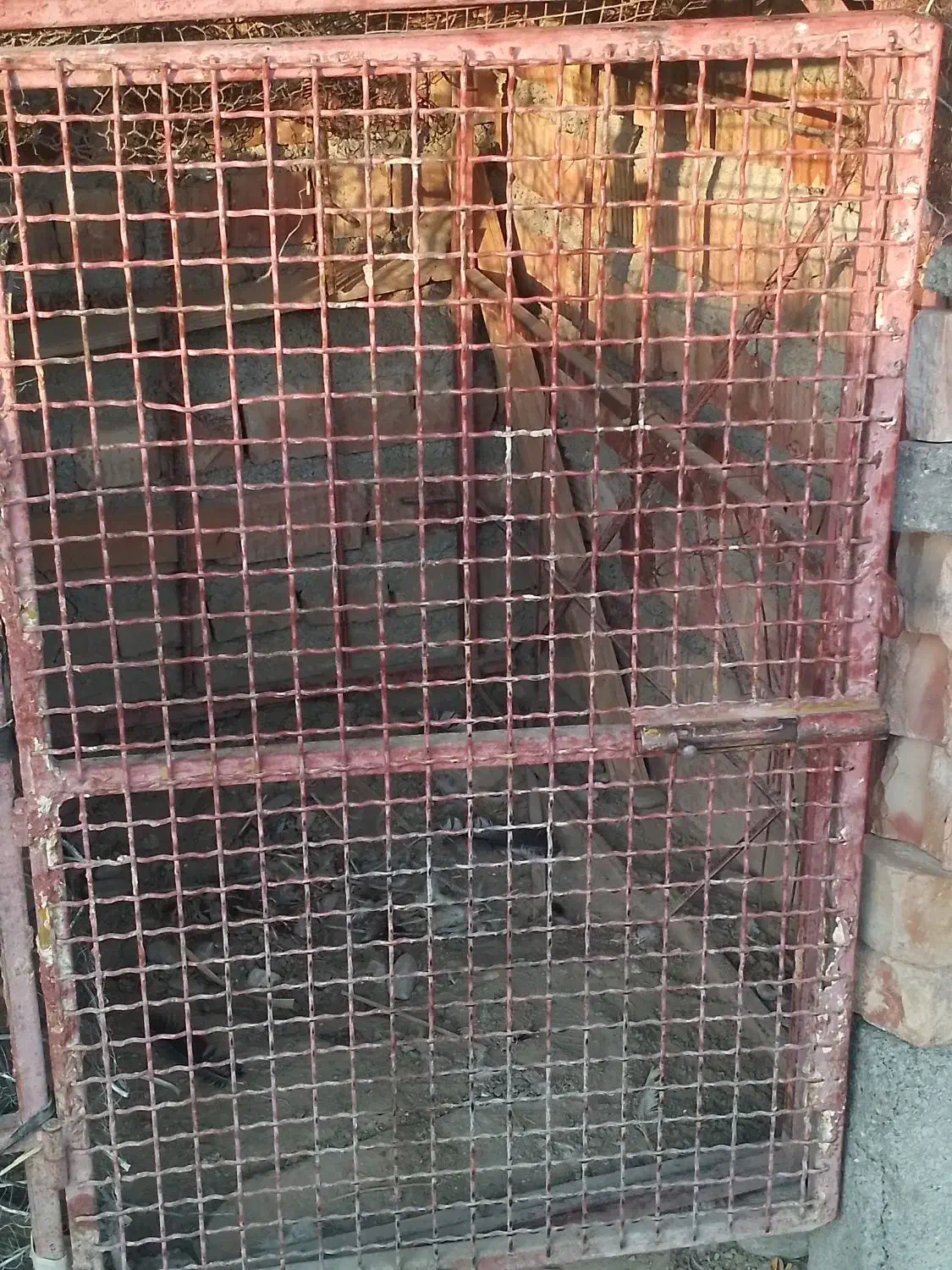 قفس مخصوص انواع پرندع|لوازم جانبی حیوانات|ایرانشهر, |دیوار