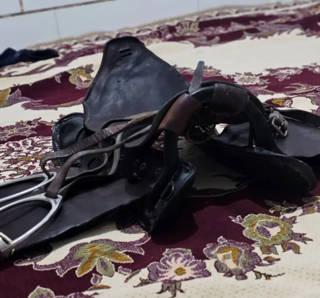 زین و رکاب اسب|اسب و تجهیزات اسب‌سواری|مرودشت, رودبال|دیوار