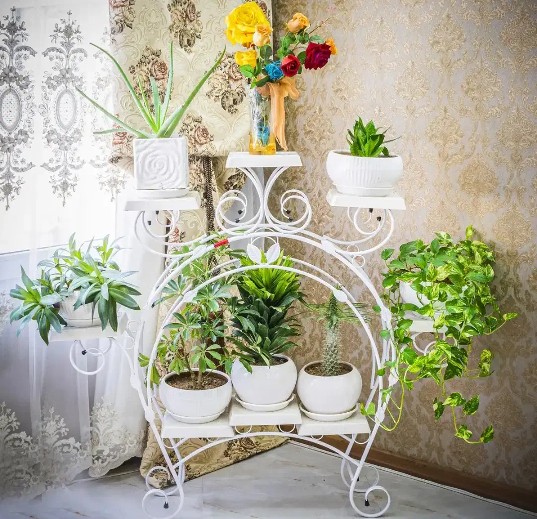 استندگل|مبلمان خانگی و میز عسلی|رشت, نخودچر|دیوار