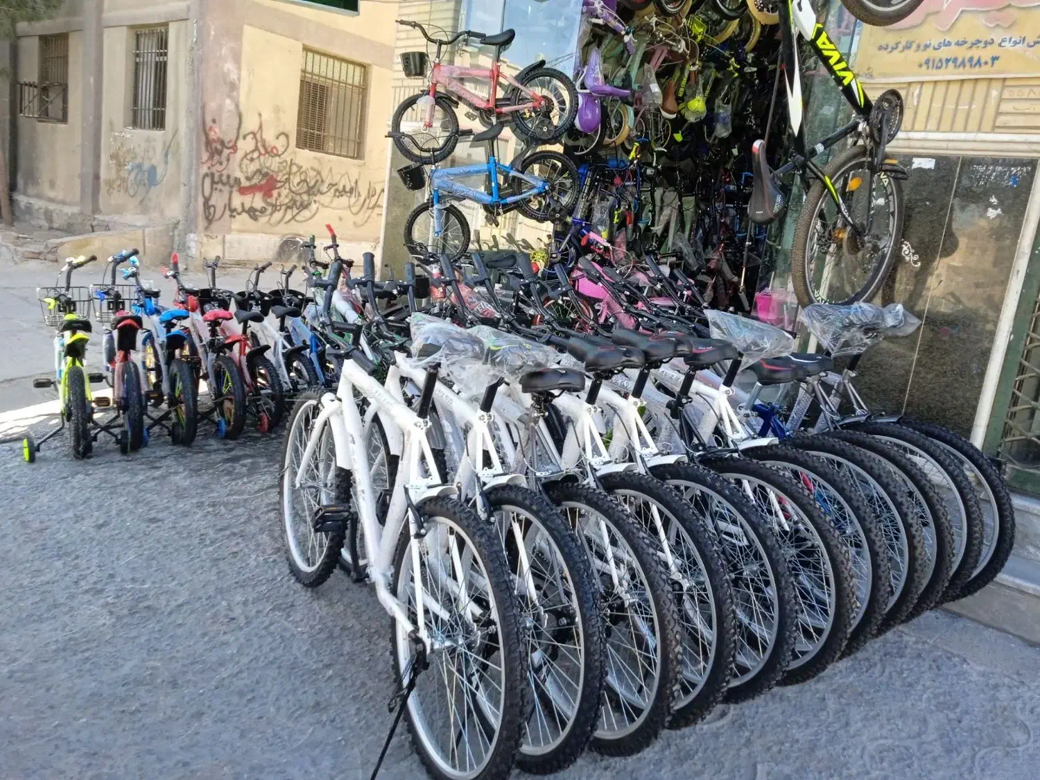 دوچرخه با ترمز قوی سایز مختلف آلفا&٪٪|دوچرخه، اسکیت، اسکوتر|اردبیل, |دیوار