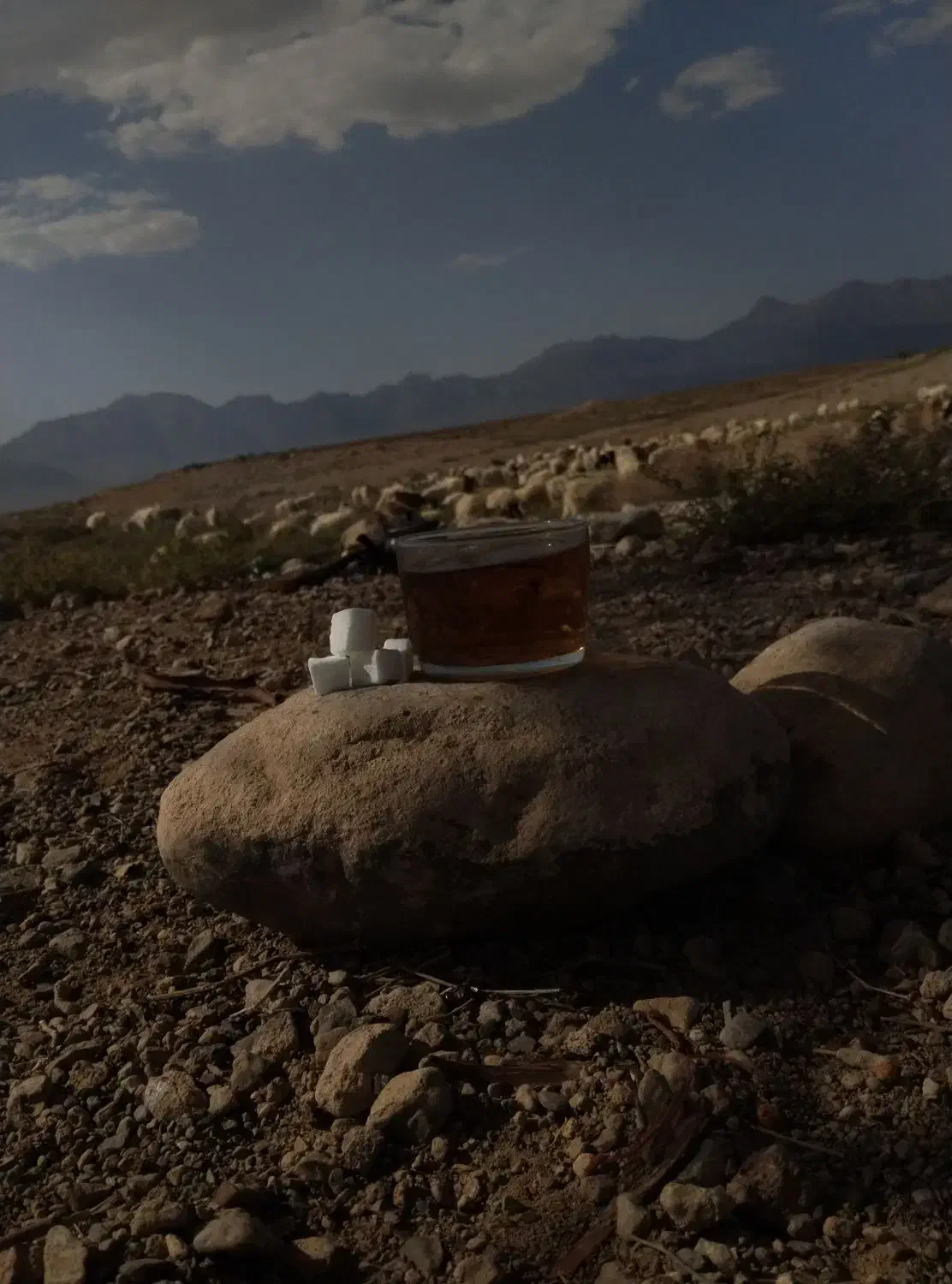 کهره ماده|حیوانات مزرعه|ارزوئیه, |دیوار