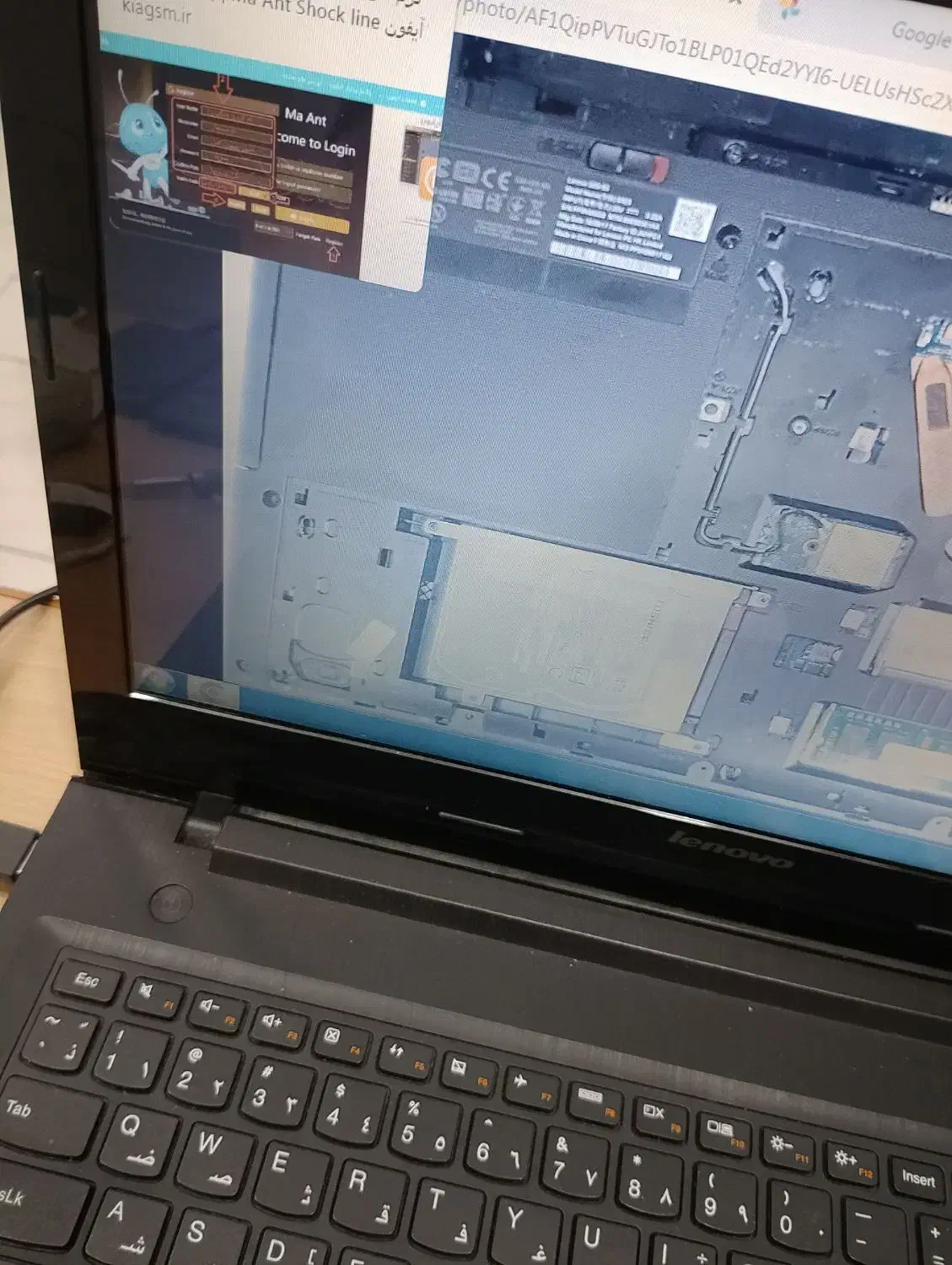 نلنبنلن|رایانه همراه|کرمان, |دیوار