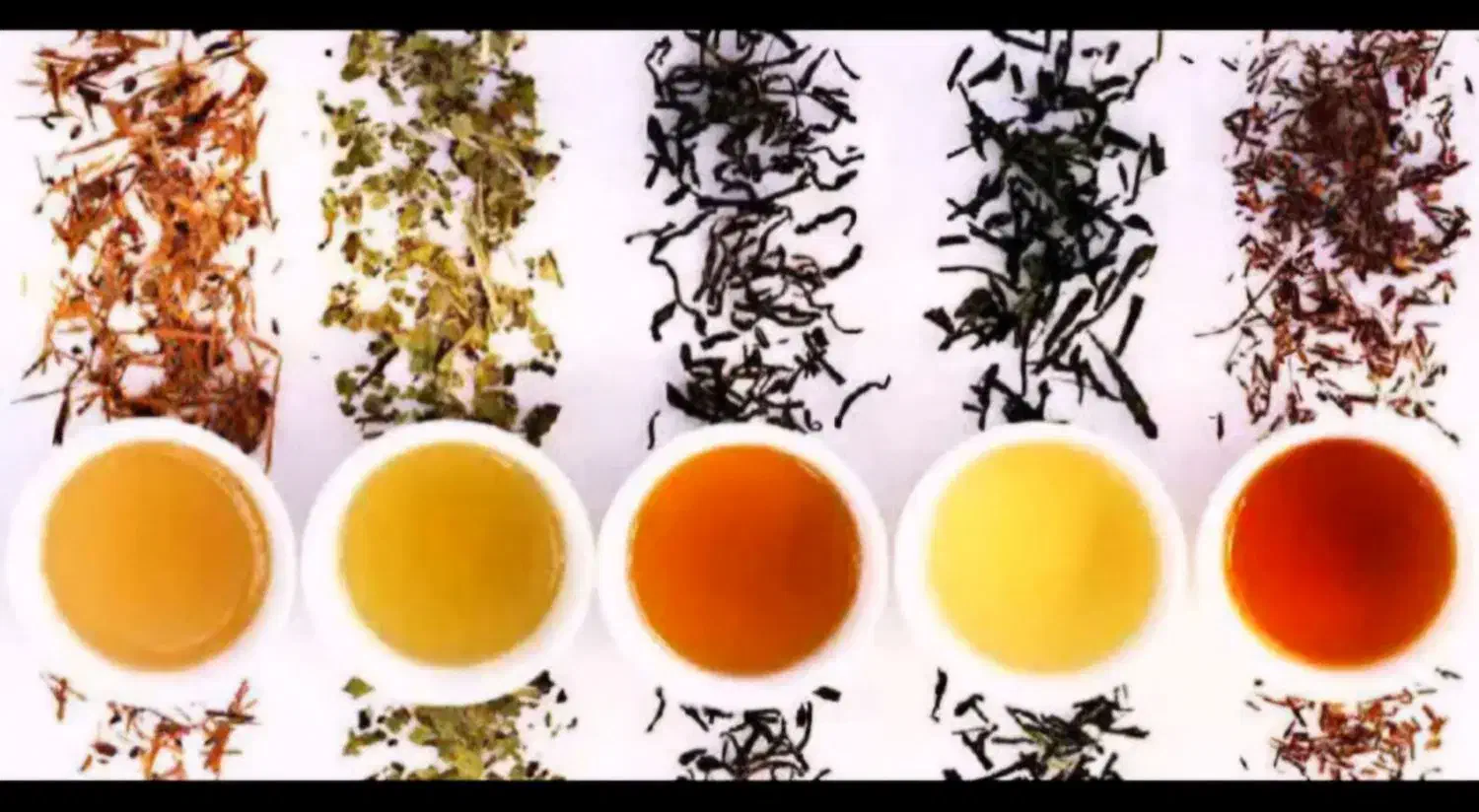 تجارت فروش داخلی و خارجی|عمده‌فروشی|قائم‌شهر, |دیوار