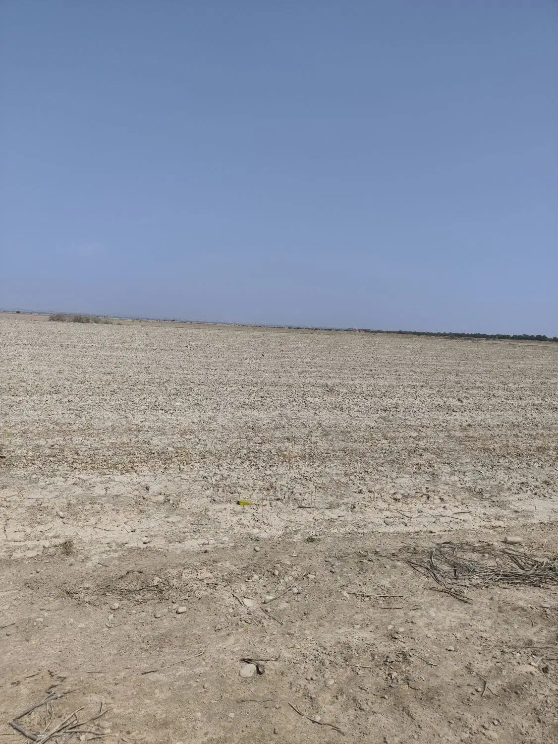 زمین کشاورزی|فروش دفتر صنعتی، کشاورزی، تجاری|برازجان, |دیوار