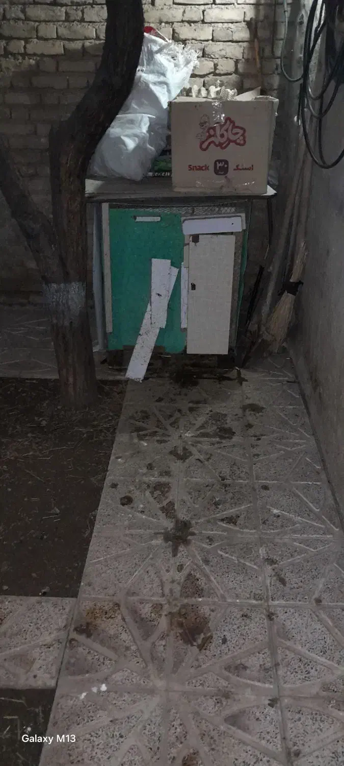 قفس|لوازم جانبی حیوانات|قره ضیاالدین, |دیوار