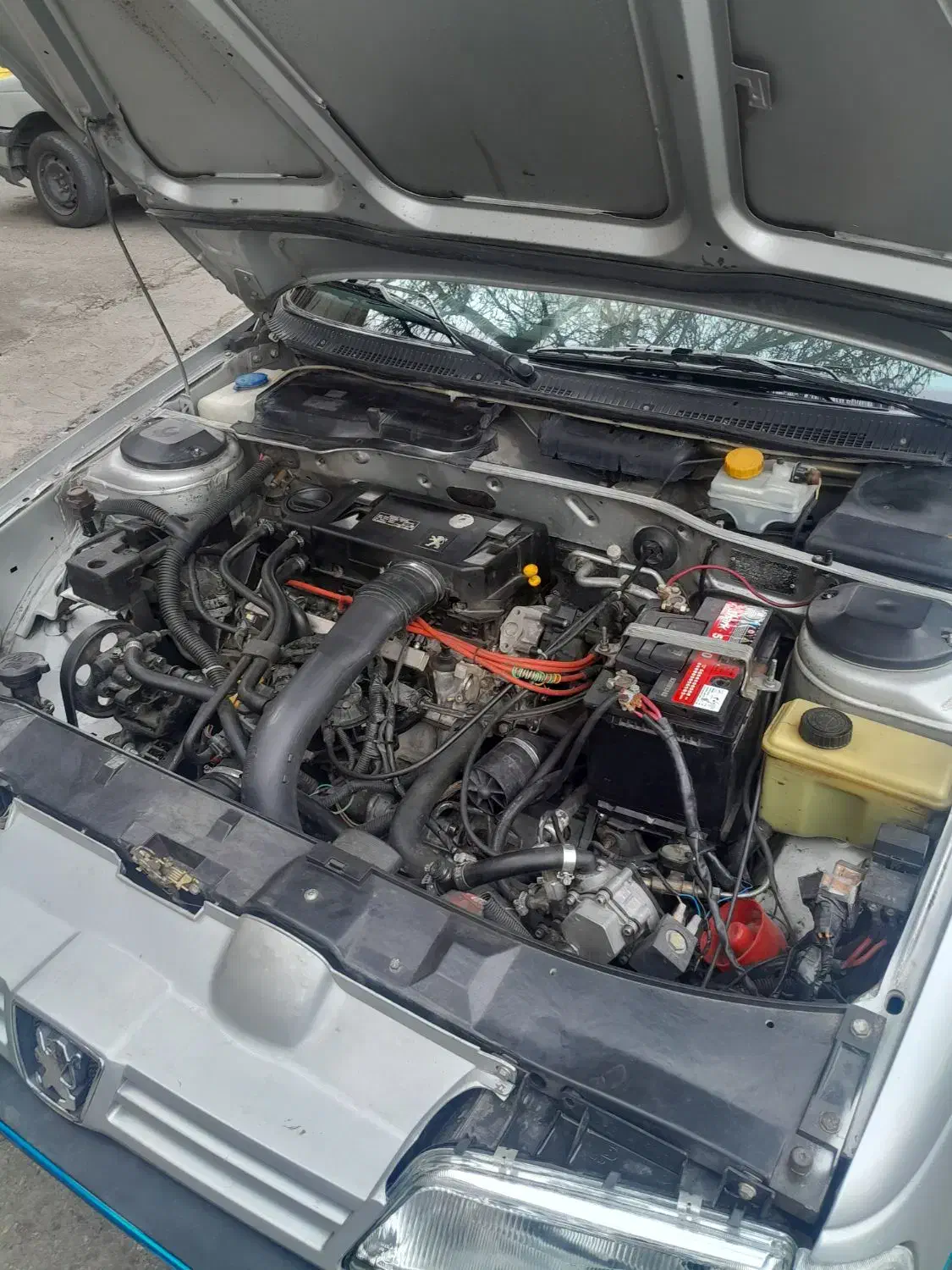 پژو ۴۰۵ عروسک|خودرو سواری و وانت|شاهرود, |دیوار