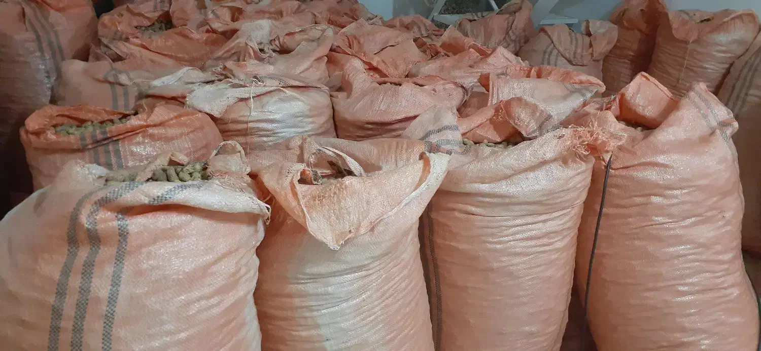 بادام زمینی افتاب خشک|خوردنی و آشامیدنی|لشت نشا, |دیوار