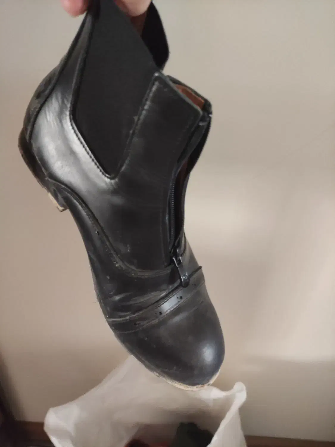 تجهیزات اسب سواری|اسب و تجهیزات اسبسواری|قم, بنیاد|دیوار